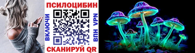 Псилоцибиновые грибы Psilocybe  хочу наркоту  Дудинка 